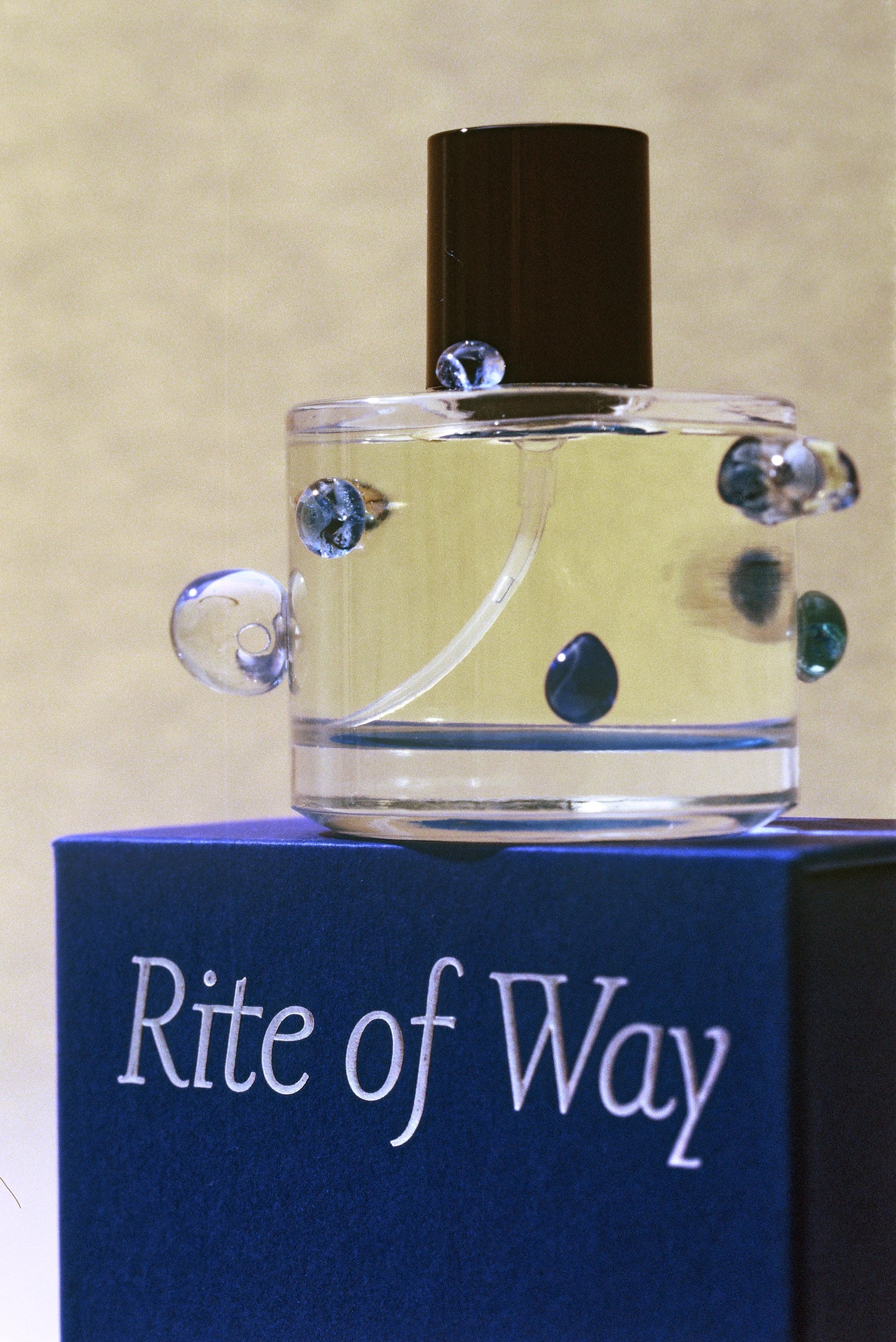 Outer Realm by Shawna X